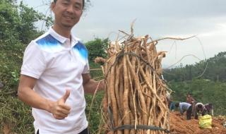 为何要把种子送上太空